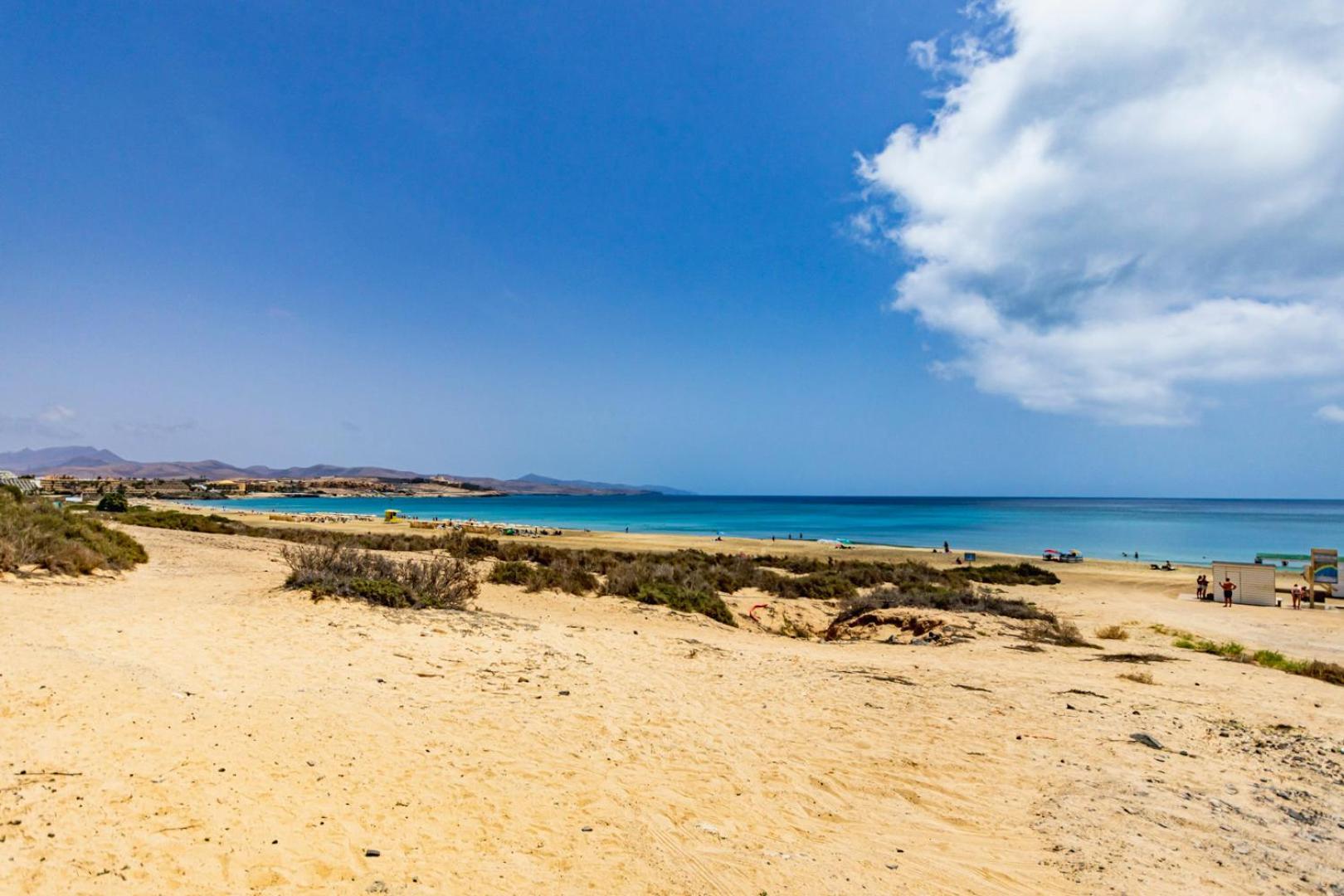 Apartment Los Hibiscos Κόστα Κάλμα Εξωτερικό φωτογραφία